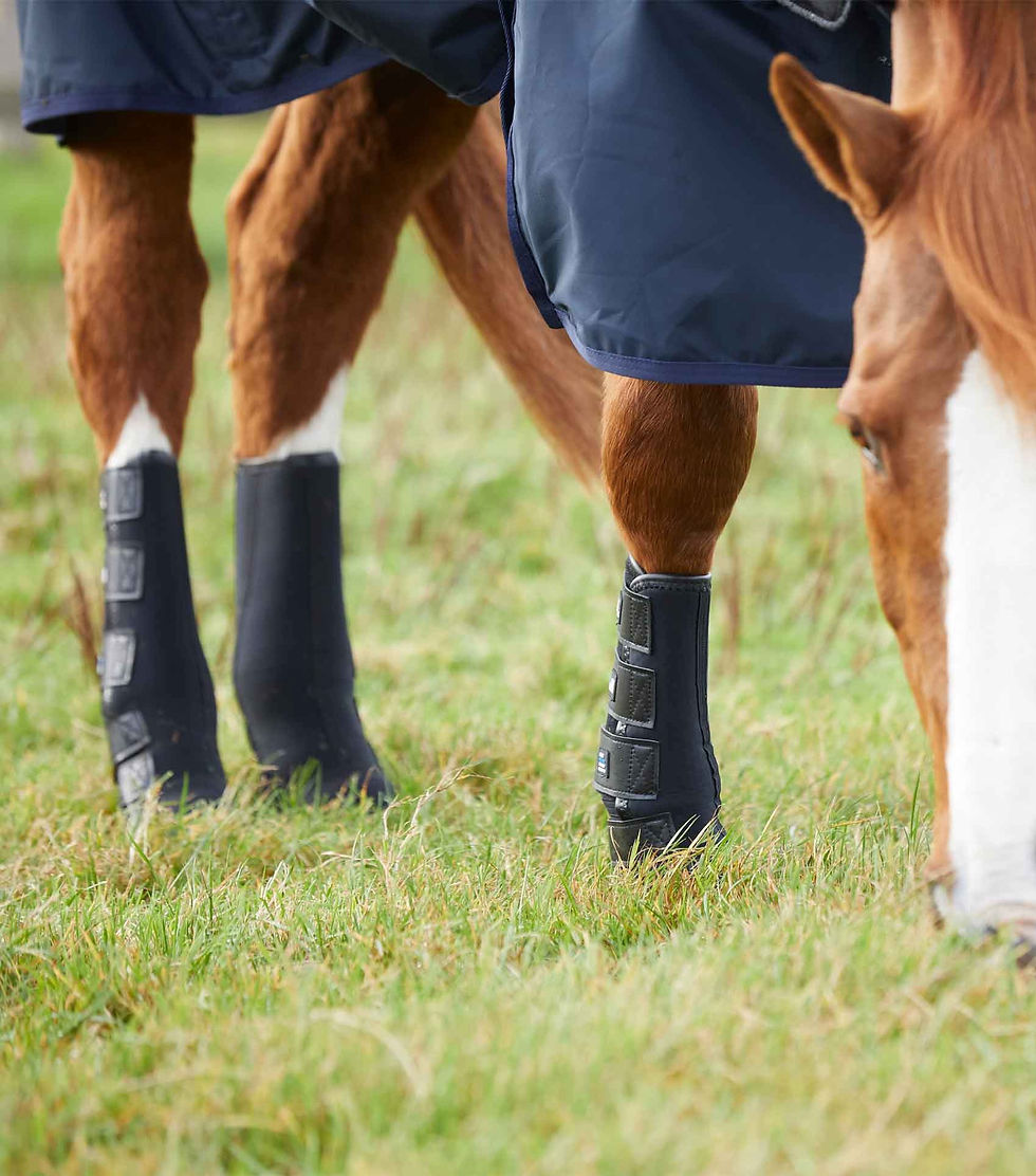 Thumbnail: Premier Equine Turn Out/Mud Fever Boots