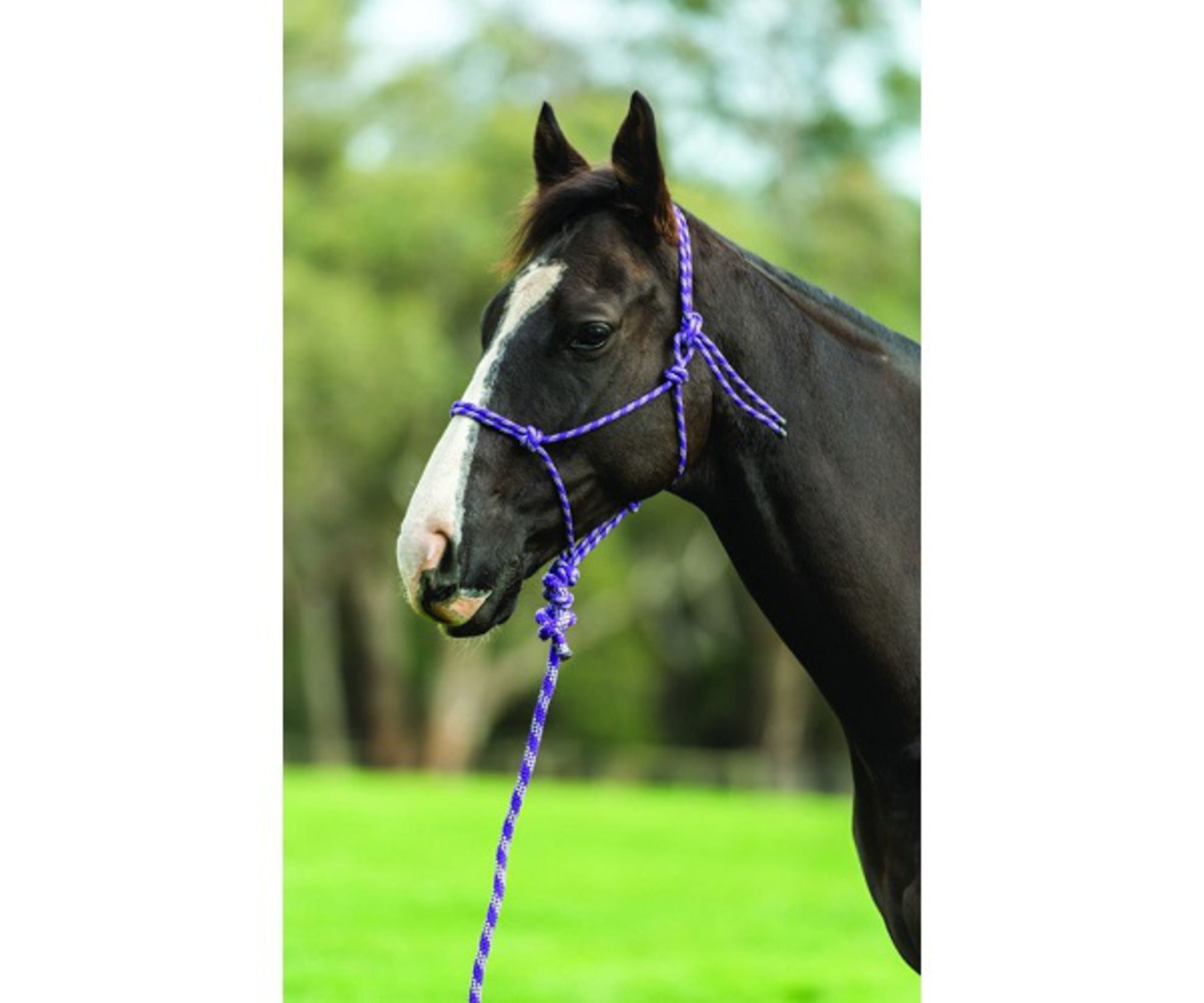 Saxon Two Tone Rope Headcollar and Lead Set