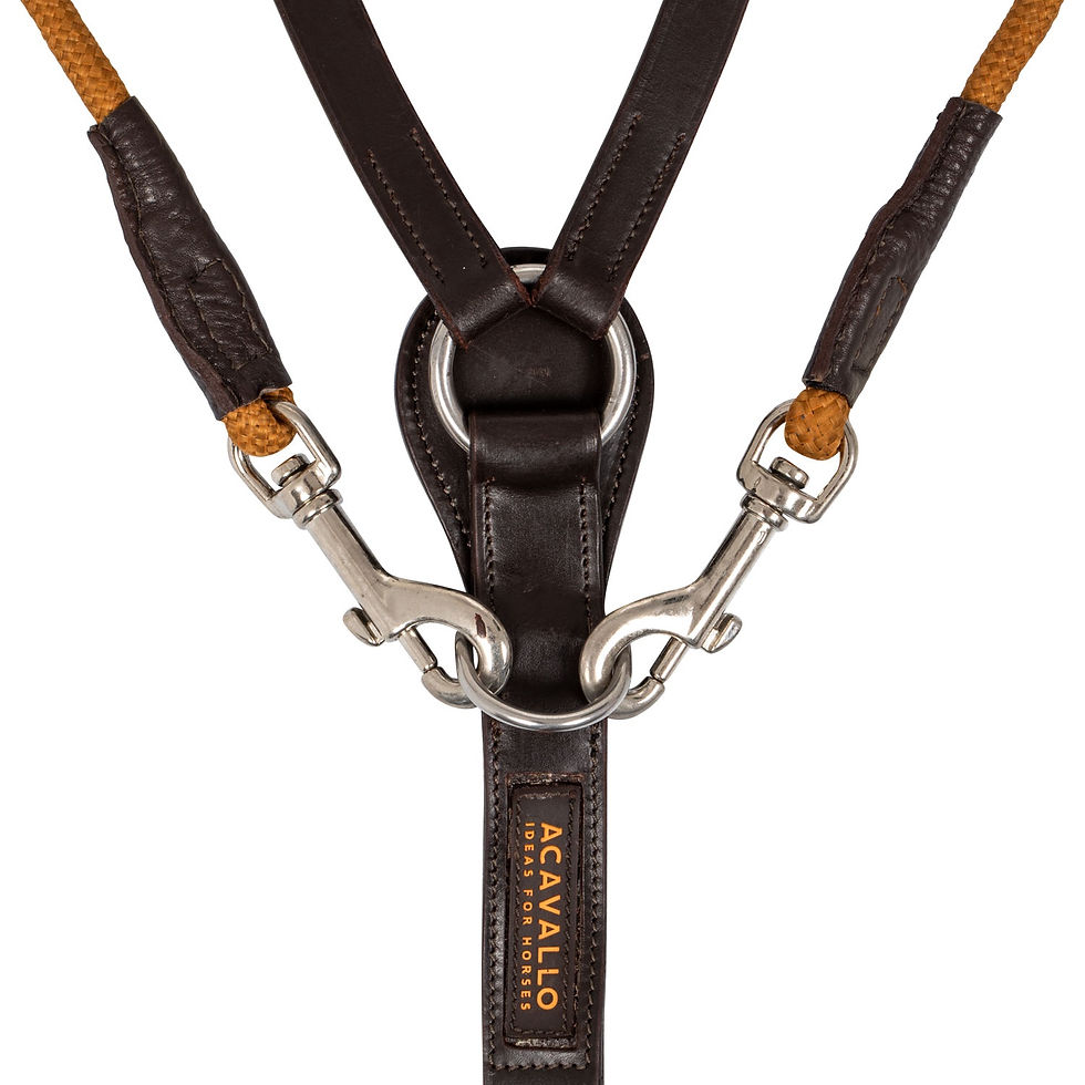 Thumbnail: Acavallo Calfskin & Rope Chambon