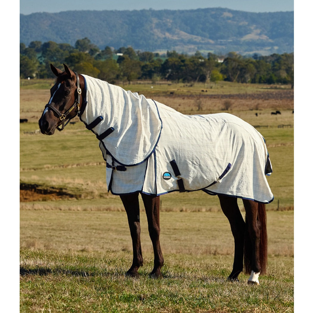 Weatherbeeta Cotton Summer Sheet Lite Combo