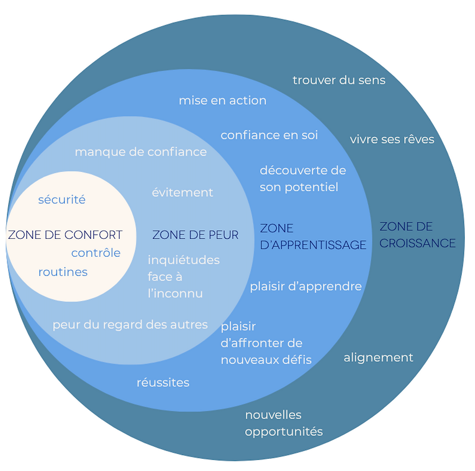 Schéma zone de confort