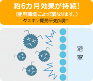 image11.gif