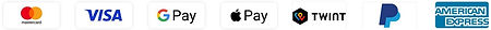 Значки способов оплаты, таких как AmEx, PayPal и TWINT