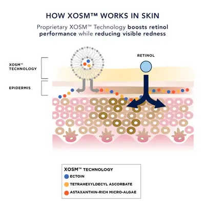 Miniature : Produktfunktion IMAGE Skincare - AGELESS+ Retinol Repair Crème 0.3% Retinol Complex (50g)