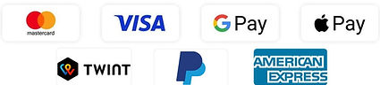 Icons payment methods such as Visa, PayPal and TWINT