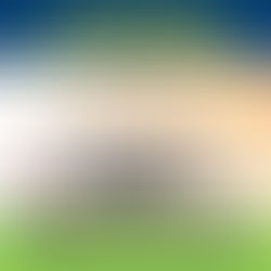 ANCHE IL PARLAMENTO SI COSTRUISCE LA SUA SOCIETÀ IN HOUSE