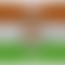 RAPIDE TRASFORMAZIONI GEOPOLITICHE IN AFRICA