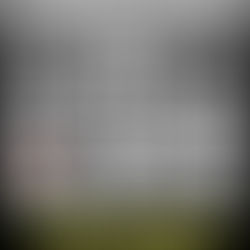 IL FASCISMO AVANZA SFRUTTANDO IL REVISIONISMO STORICO