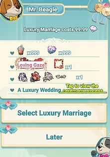 LegendOfMushroom Wedding Costs $100
