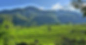 Sri Lanka - Threads of style