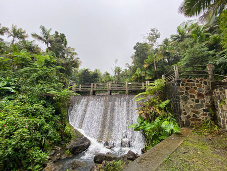 What to See & Do in El Yunque National Forest Tour, Puerto Rico