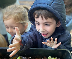 WhatsApp Image 2024-11-20 at 10.24.26.jpeg