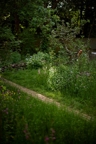 narrow cobbled yorkstone path, orchard, wildflower meadow, oxeye daisies, old fruit trees, journey to the woodland beyond, Muswell Hill Garden, Taryn Ferris Gardens