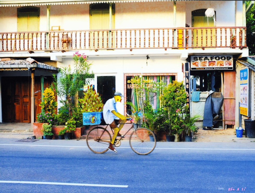 I am shrilling chicken  Negombo  Sri Lanka