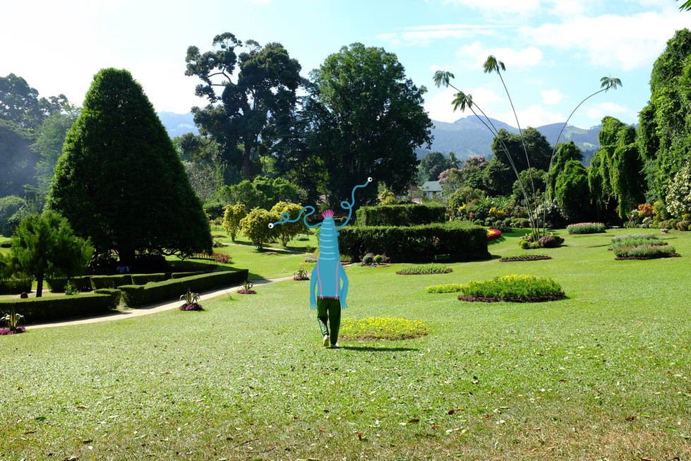 take a walk  Kandy