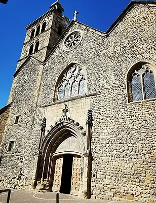 Visite guidée Tournon cote du Rhone vin rouge domaine viticole dégustation visite domaine vin cote du rohone visite guidée à lyon avec un guide vienne et drome