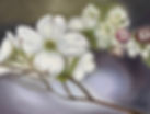 Dogwood II