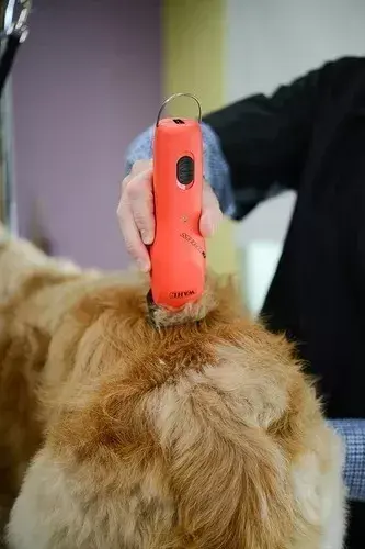 Miniatura: Maquina Wahl Km Cordless 9596-208 Canina Recargable