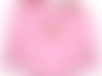 Family matching blank custom hoodies 