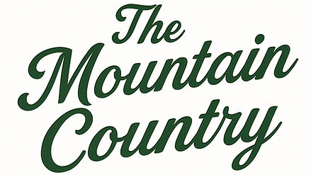 ChatGPT Image Nov 11, 2025, 06_27_41 PM_