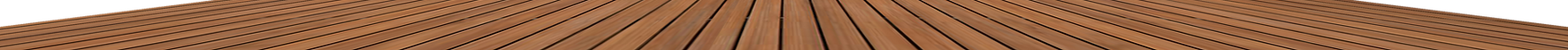 Wooden Shelf.png
