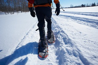 Snow Shoeing