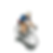 Miniature : Champion de France / Raymond / P1