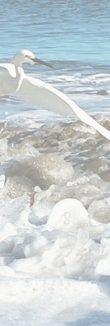 B98087F7-DE2F-4F01-BA82-9F3520CC13C0_edi