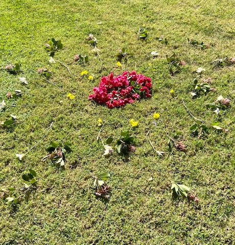 flower mandala offering