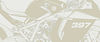 Homepage Background.jpg