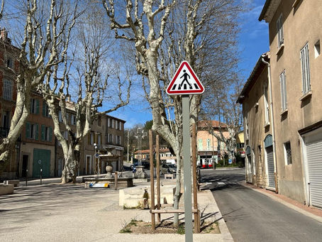 Question orale n°13: dangerosité du passage piéton situé Allée Louis Pasteur