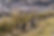 headerbild_einzigartigkeit_muster_edited.jpg