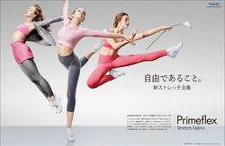 TORAY / primeflex
