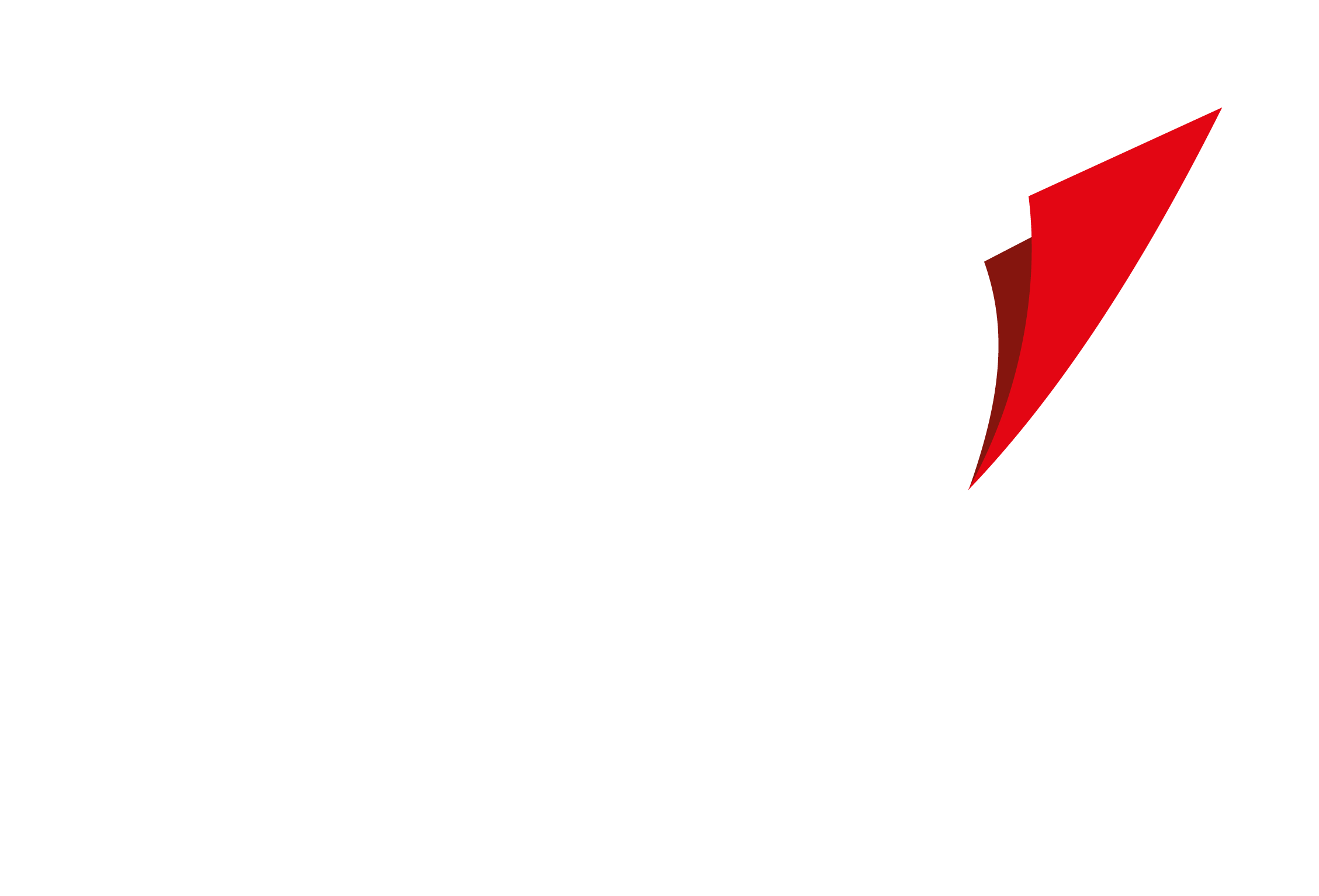 BSAC_2017_reversed_RGB.png