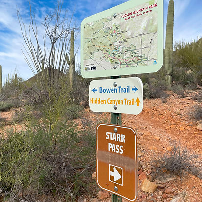 Image description below