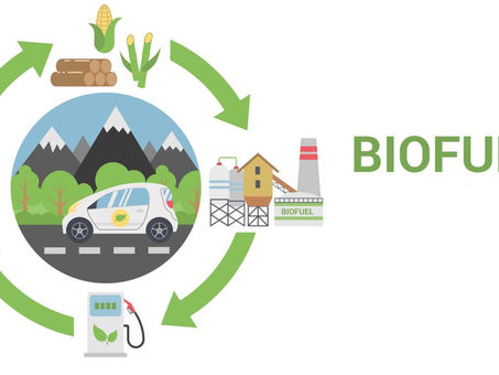 Advanced biofuel: Sustainable development direction of renewable fuels