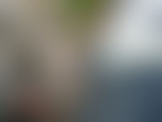 Viet Nam has recorded success in wastewater treatment