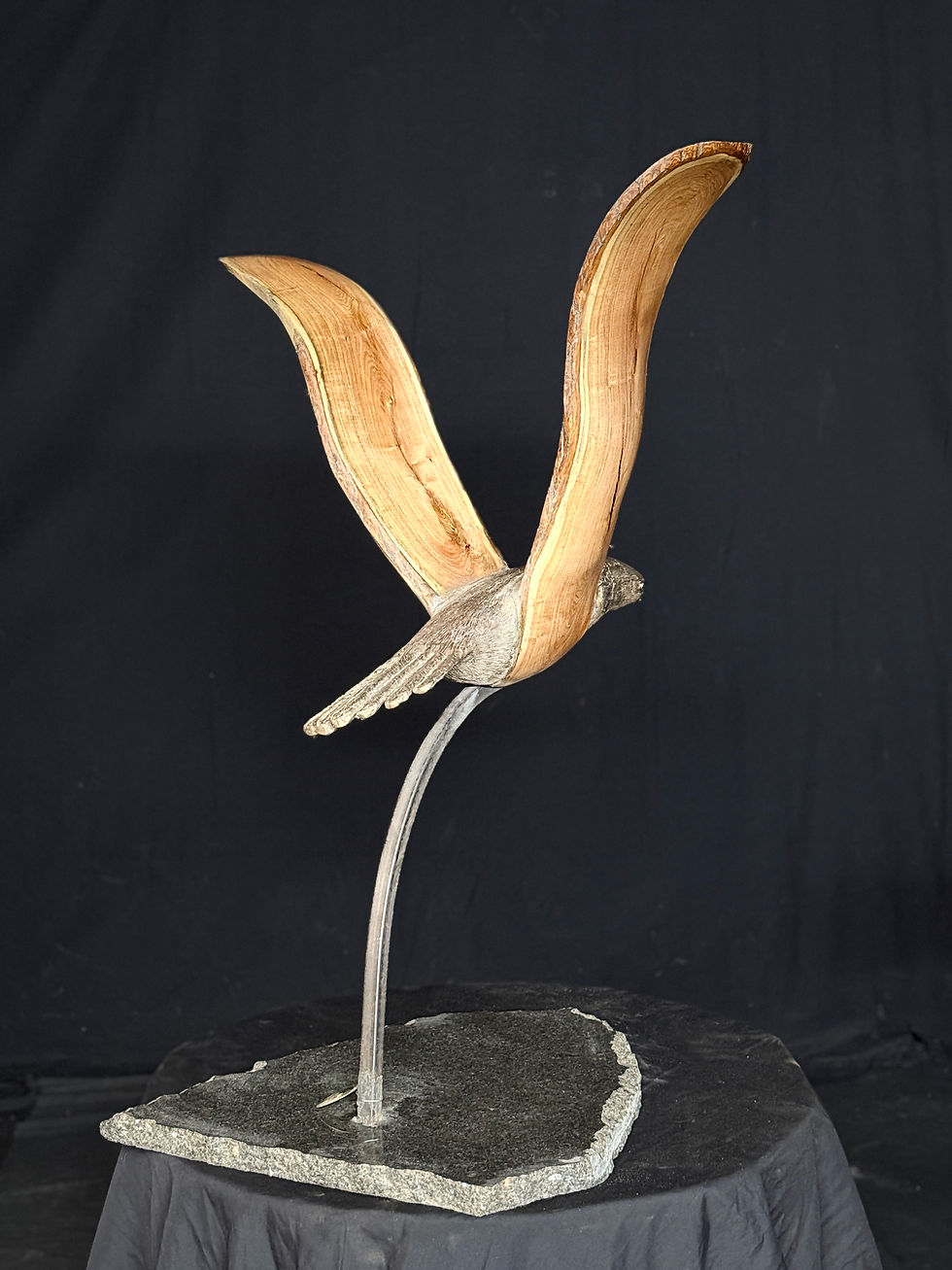 Thumbnail: Broad Powerful Wings