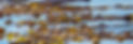 DSC03247.JPEG