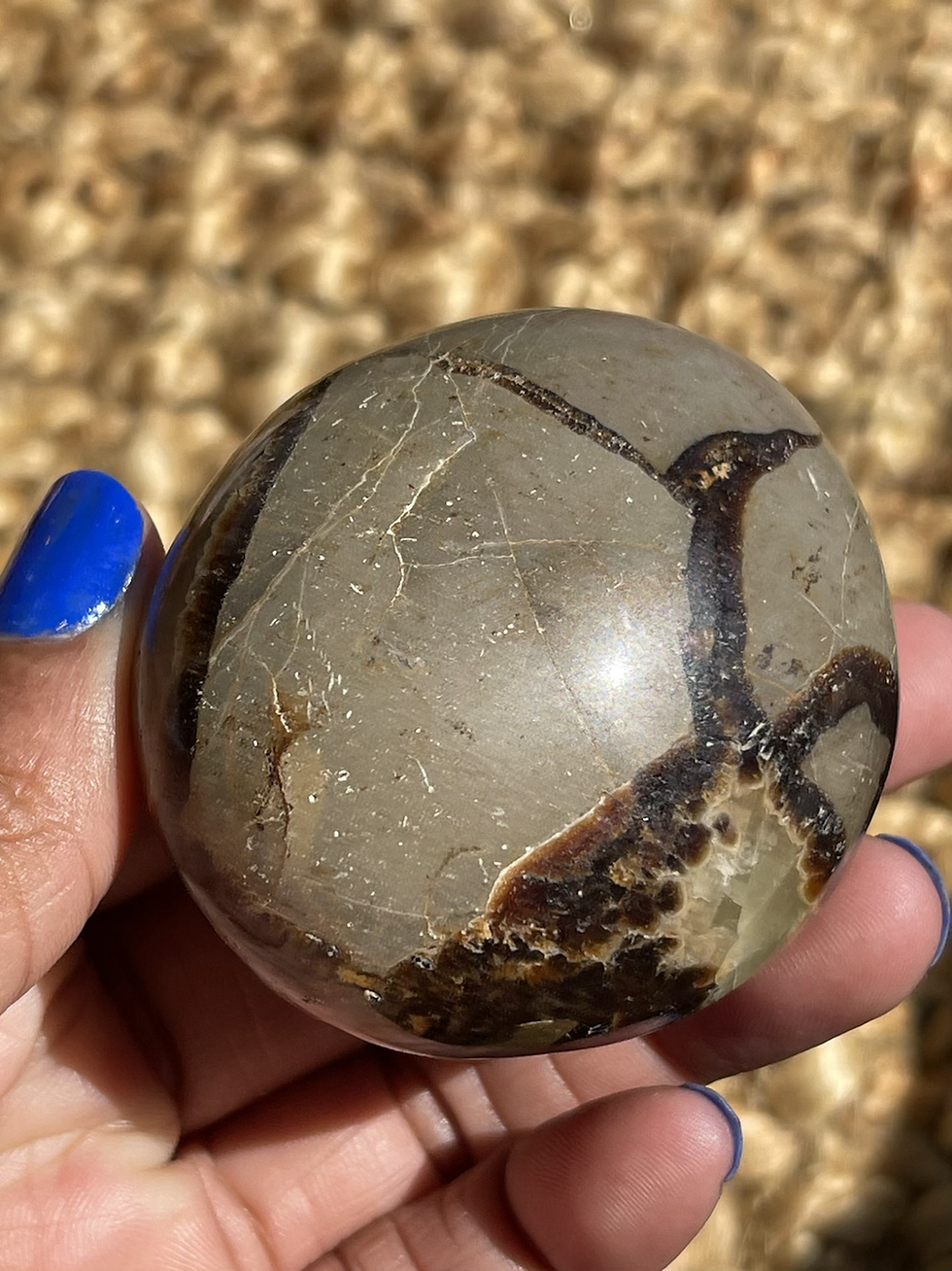 Thumbnail: Septarian Palm Stone 