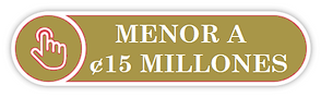 MENOR%20A%20%C2%A215%20MILLONES_edited.p