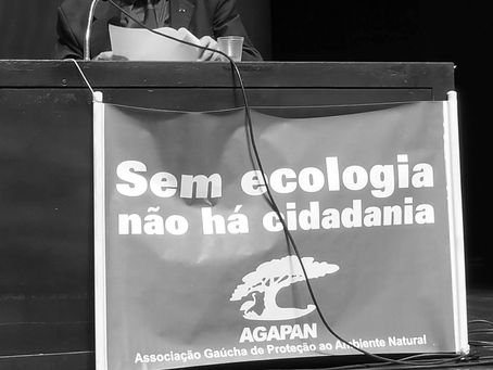 Entidades vão cobrar na Justiça defesa e preservação do Guaíba