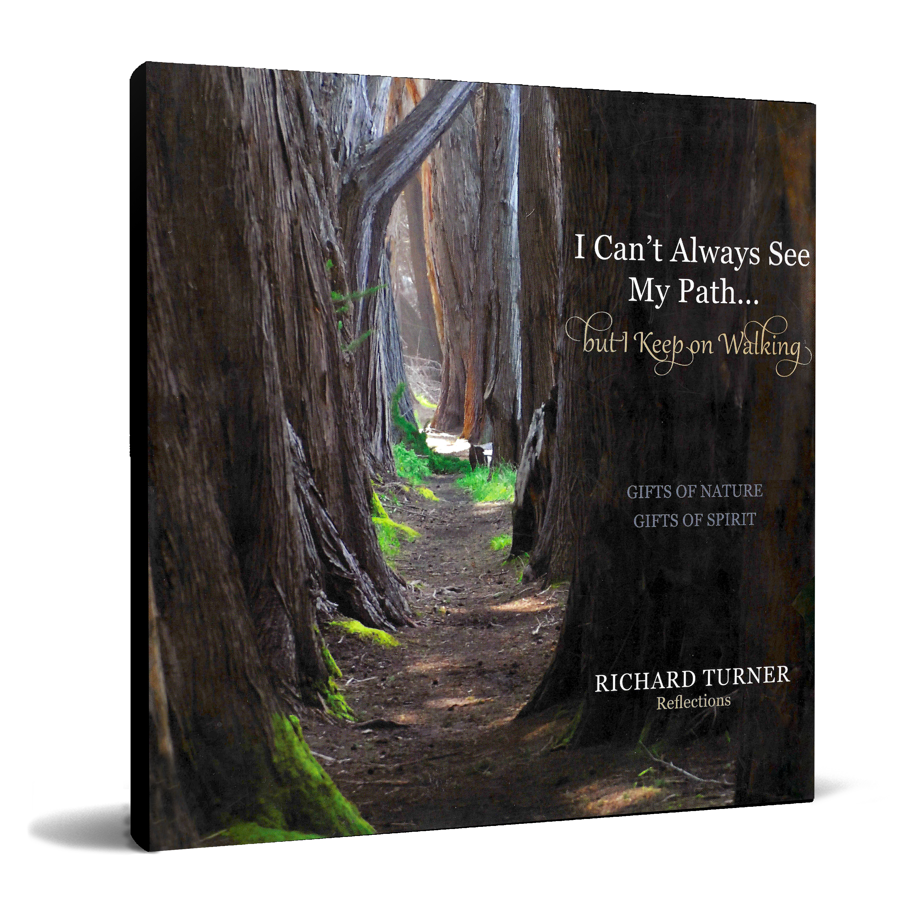I Can't Always See My Path, But I Keep Walking