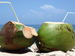 Praia e água de coco...abuse!