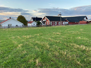 Trenger du barnehageplass til høsten?