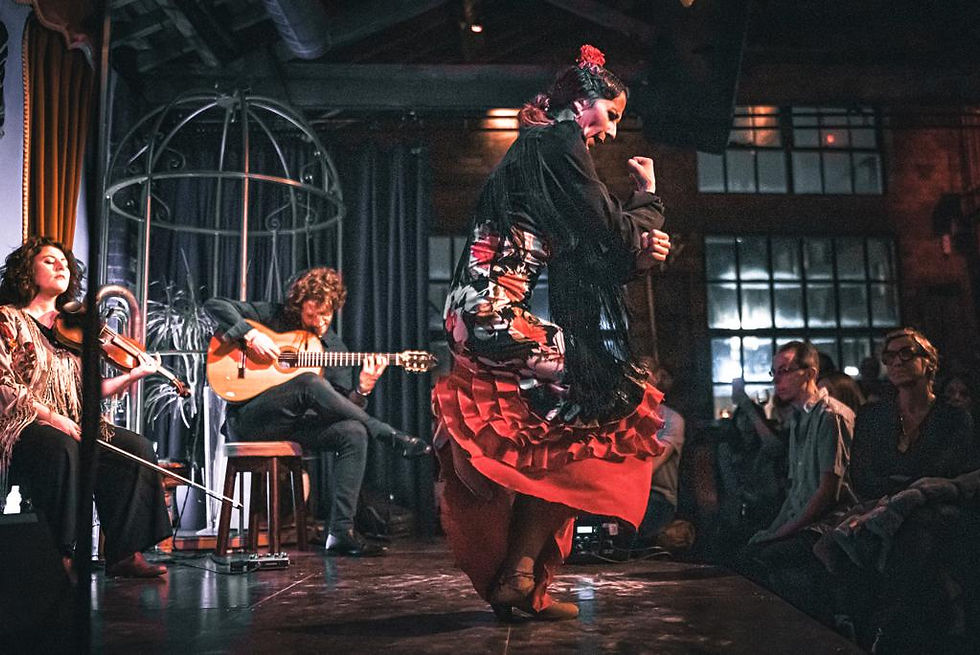 Spanish Dinner & Flamenco Show November