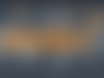 The Final Year Project: Arma X