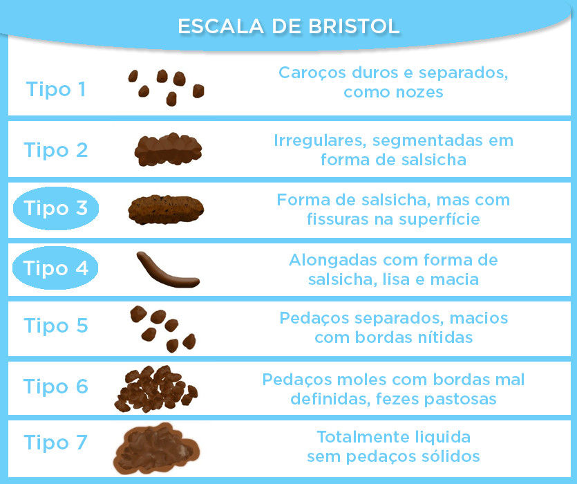 Quanto Tempo Demora Para O Alimento Virar Fezes