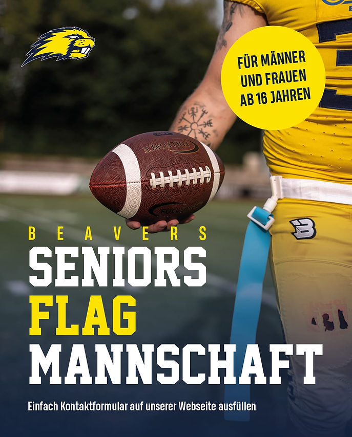 SM_Grafik_SeniorsFlagMannschaft.jpeg