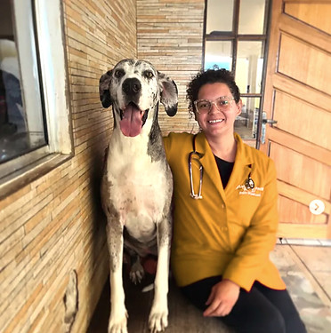 veterinaria_crechepet_hotel_pet_curitiba